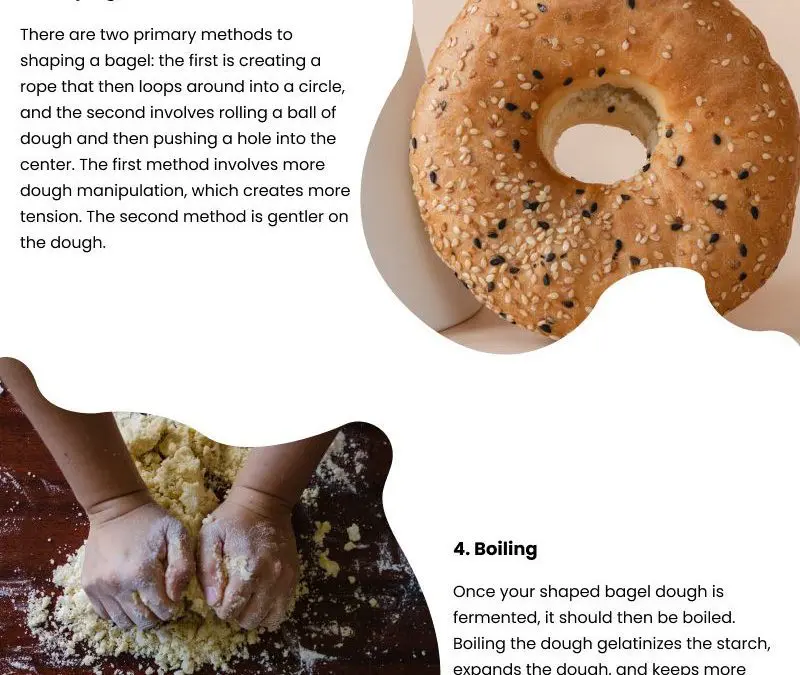 6 Needs of A Great Bagel