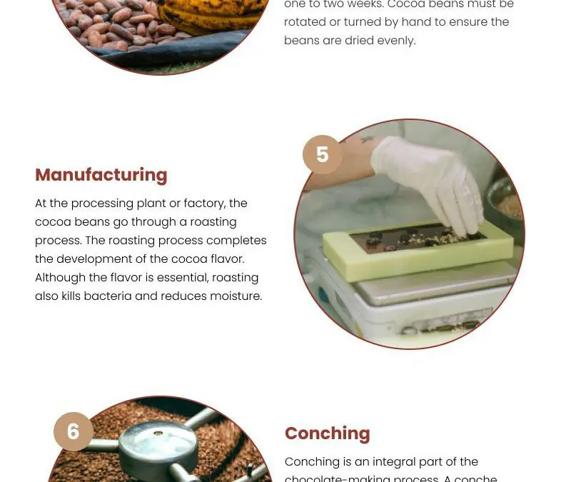 9-Step Process of Chocolate Creation