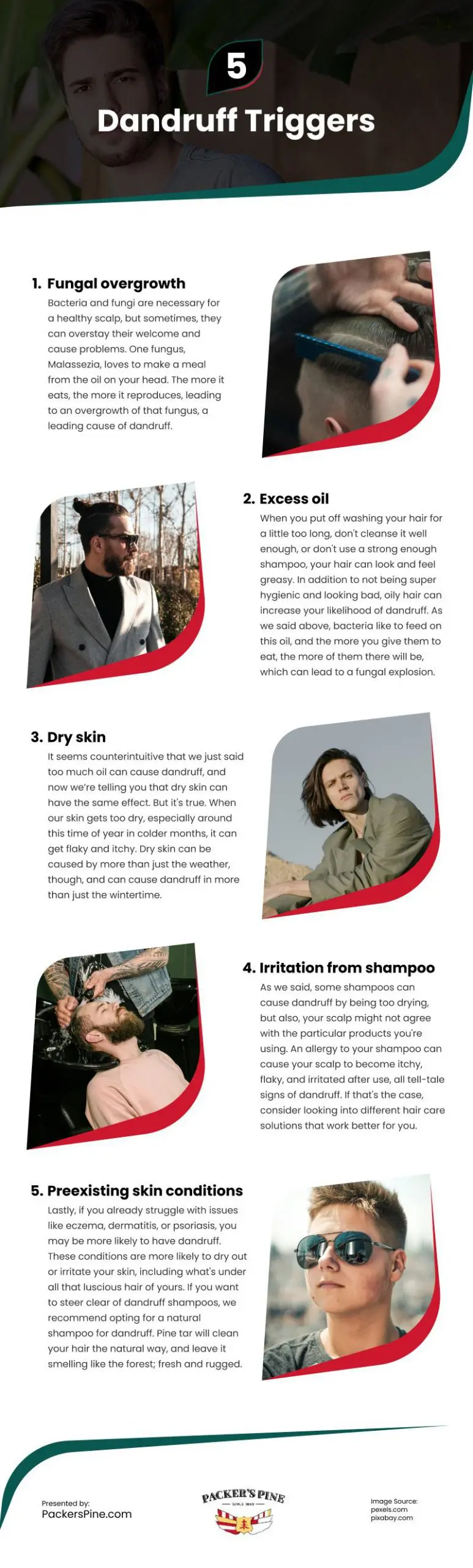 5 Dandruff Triggers Infographic