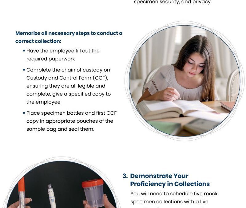 5 Steps for DOT Urine Collection Certification