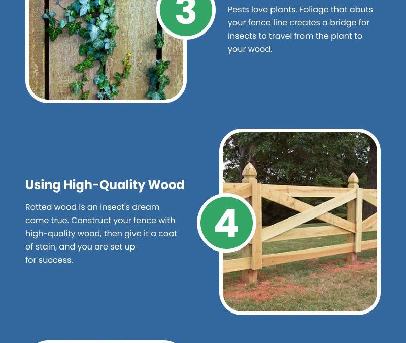 7 Ways to Save Wood from Pests