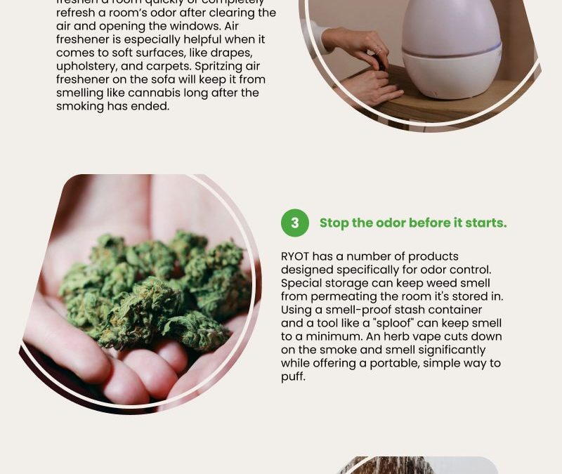 5 Ways to Remove Weed Smell