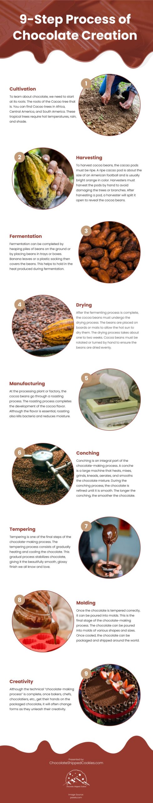 9-Step Process of Chocolate Creation Infographic