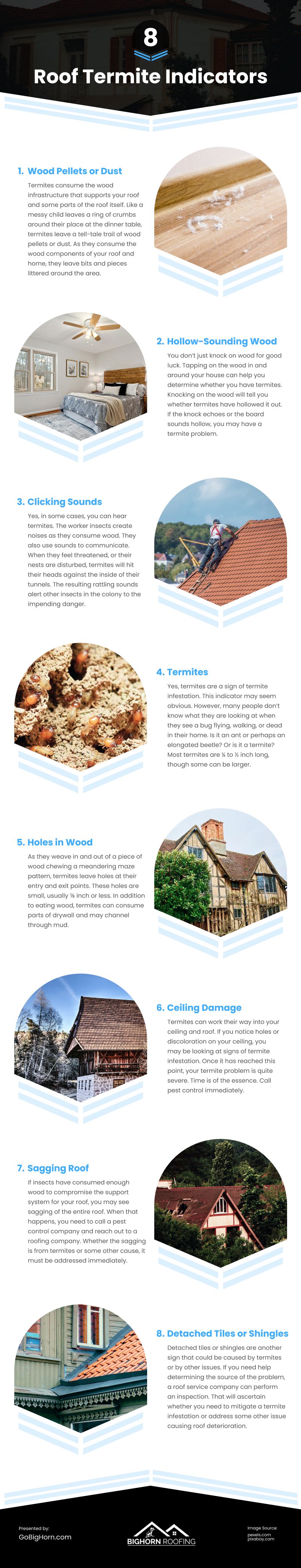 8 Roof Termite Indicators Infographic