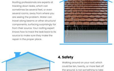 6 Roof Repair Expert Perks