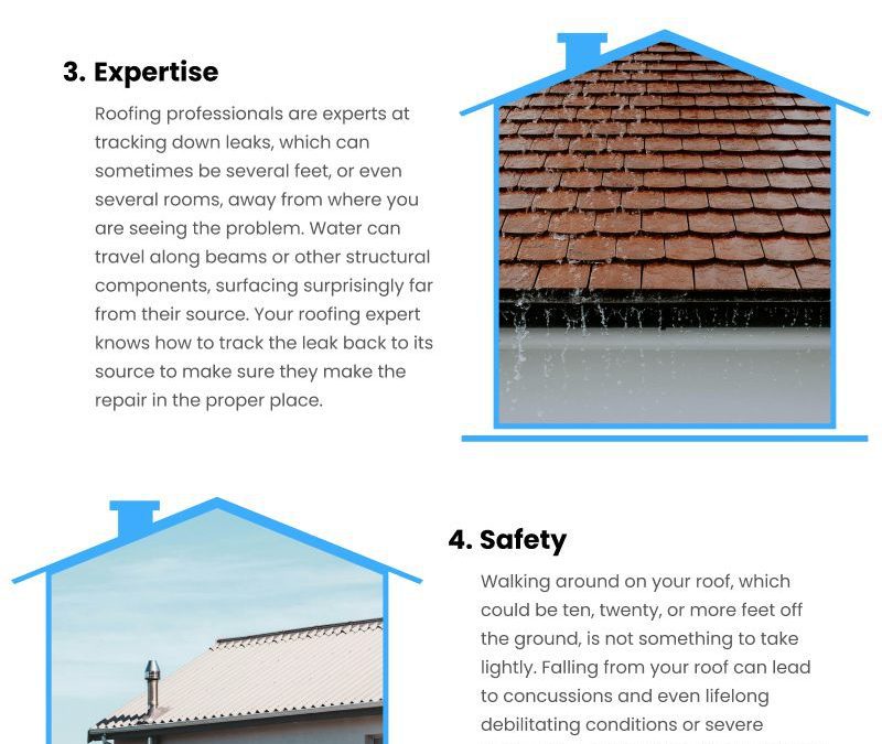 6 Roof Repair Expert Perks