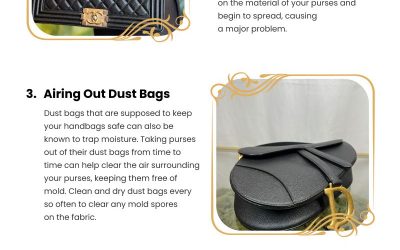 5 Mold-Free Handbag Tips