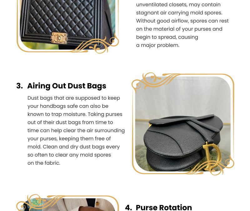 5 Mold-Free Handbag Tips