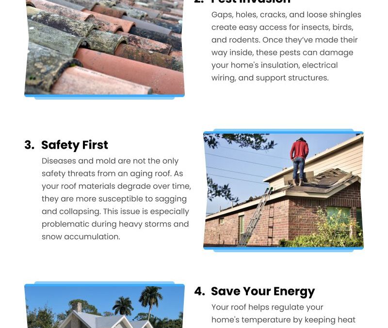 5 Risks of Delaying Your Roof Replacement